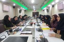 برگزاری جلسه تجویز و مصرف منطقی اقلام دارویی مخدر در دانشگاه علوم پزشکی تهران